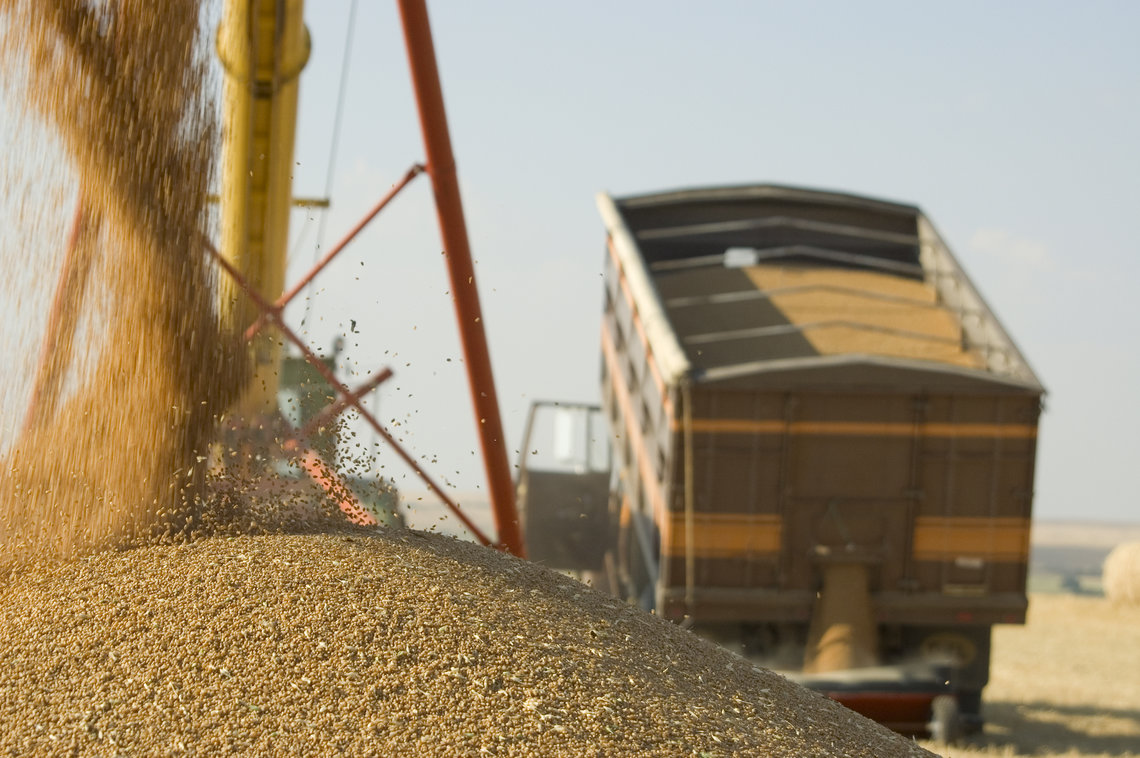 grain truck зерно грузовик логистика