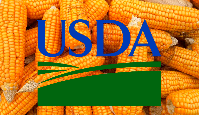 usda МСХ США