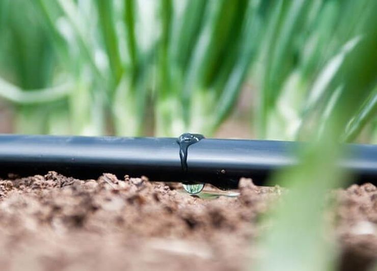 крапельне зрошення