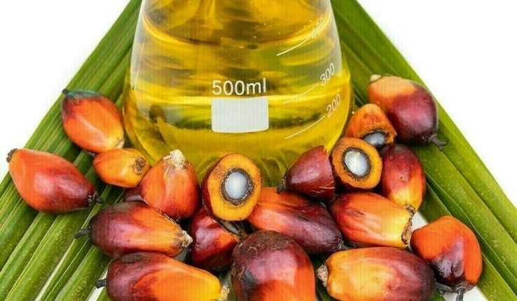 пальмова олія