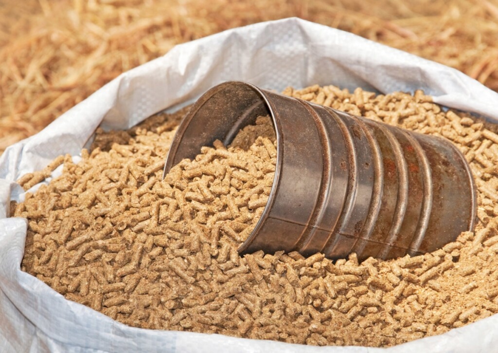 Rising global grain prices push Vietnam feed costs higher for second time in a month
