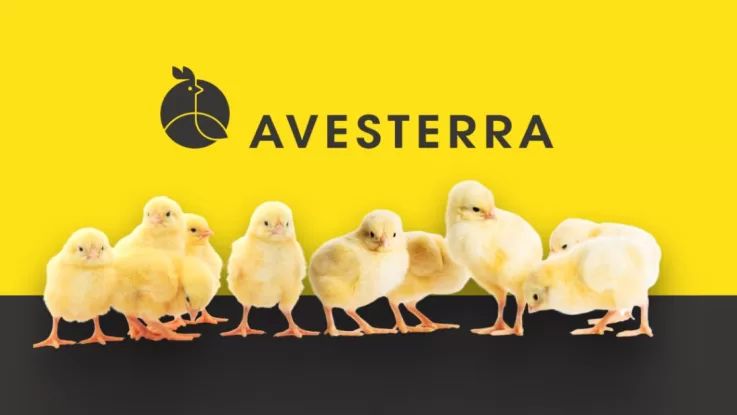 Avesterra