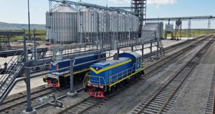 чорнотисів
