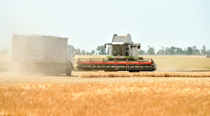 Tekom Agro жнива