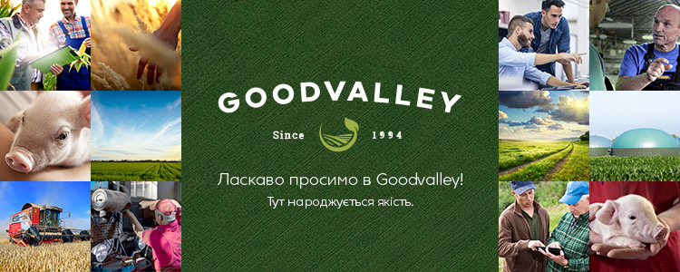Ґудвеллі