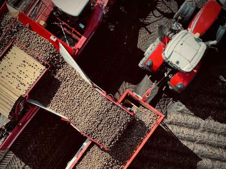 Контінентал