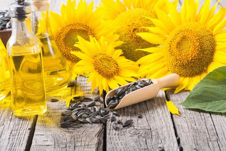 соняшникова олія