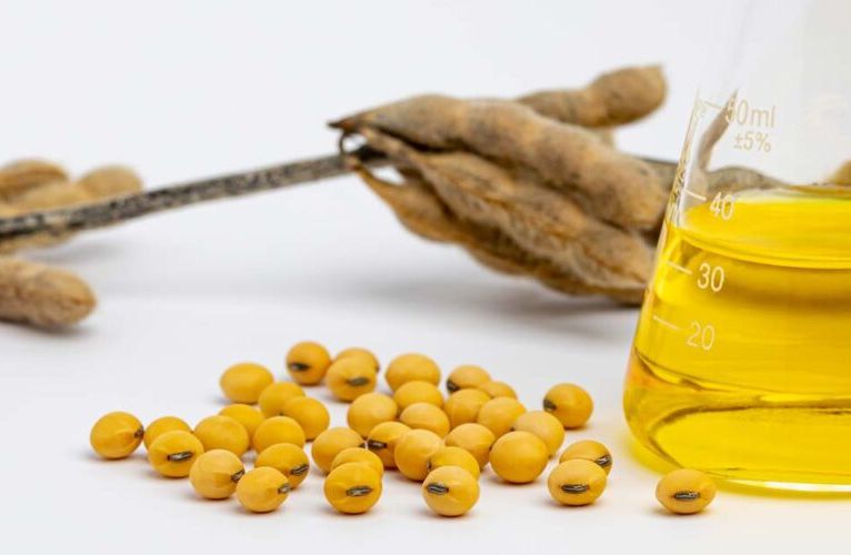 соєва олія соевое