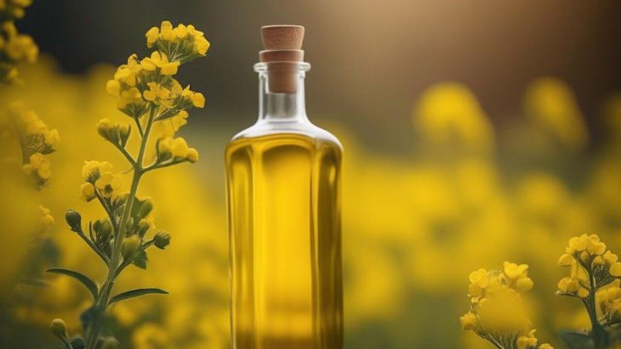 ріпакова олія