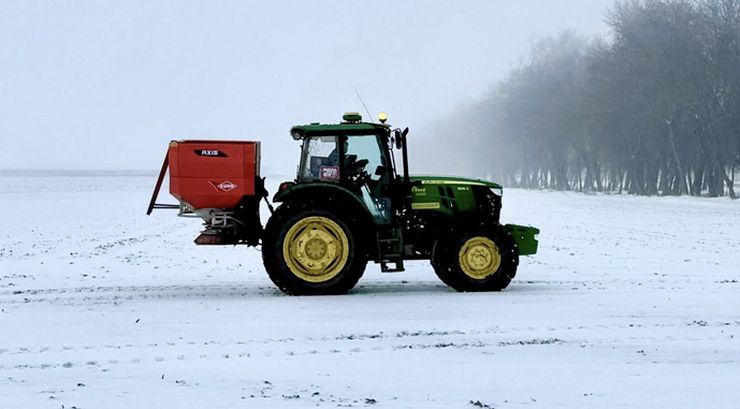 Alebor підкормка