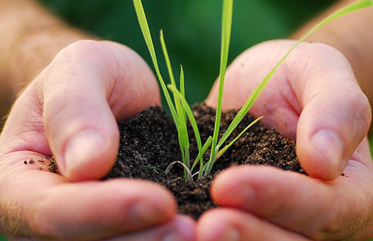 страхування