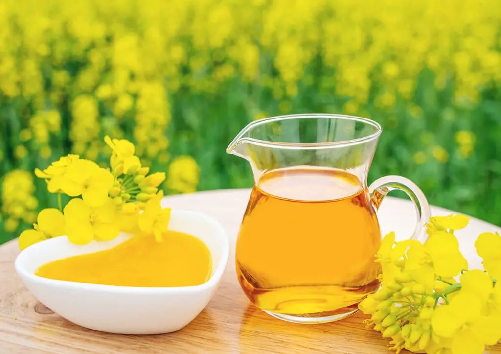 ріпакова олія