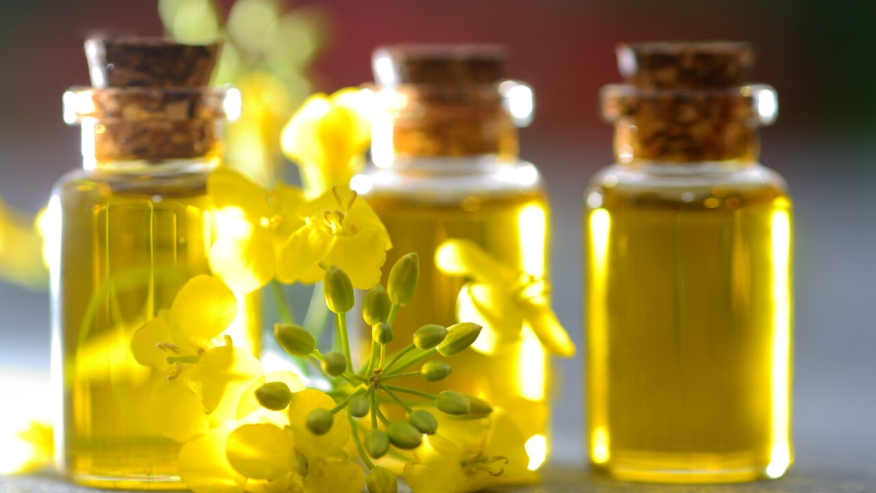 ріпакова олія