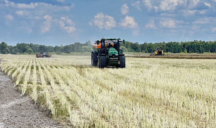 Агрейн підживлення