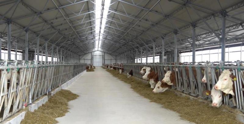 Галекс Агро