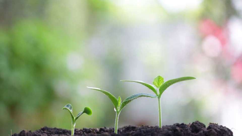 інвестиції