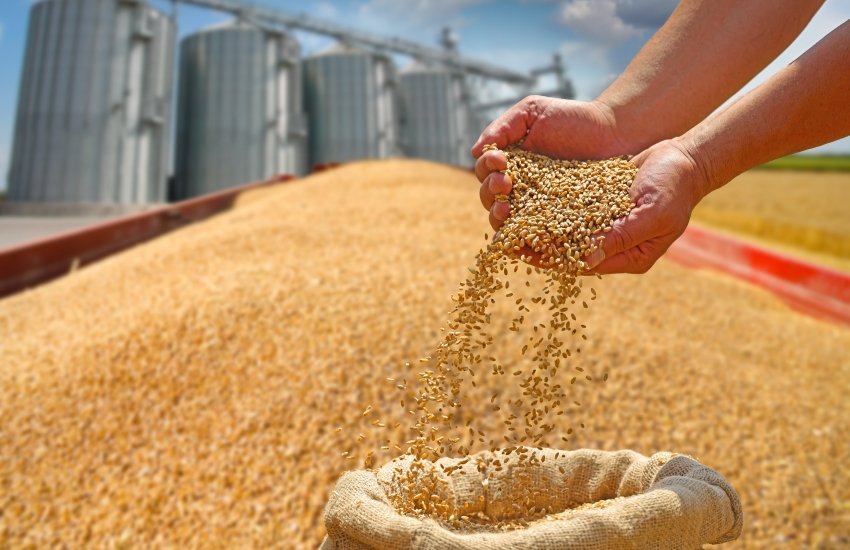 зберігання елеватор