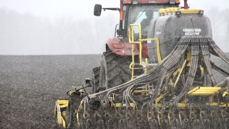 посівна сніг