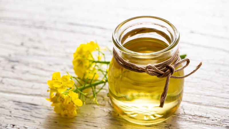 ріпакова олія