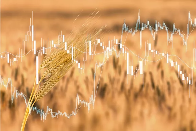 волатильність