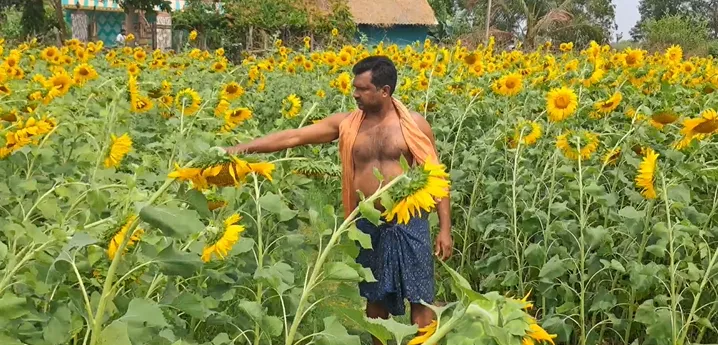 Індія