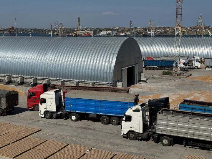 Agromino, Чорноморськ
