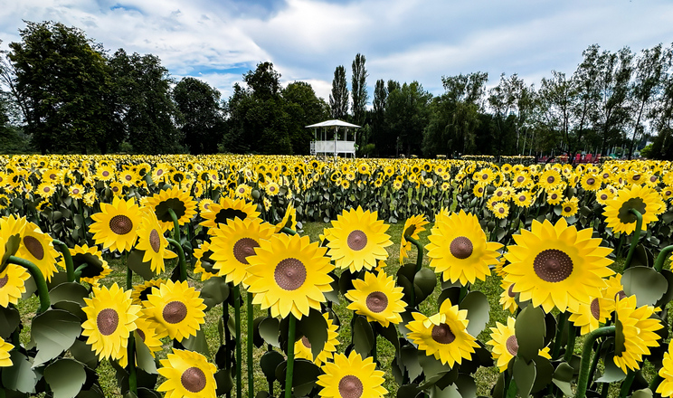 Кернел
