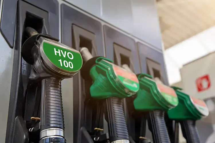 HVO