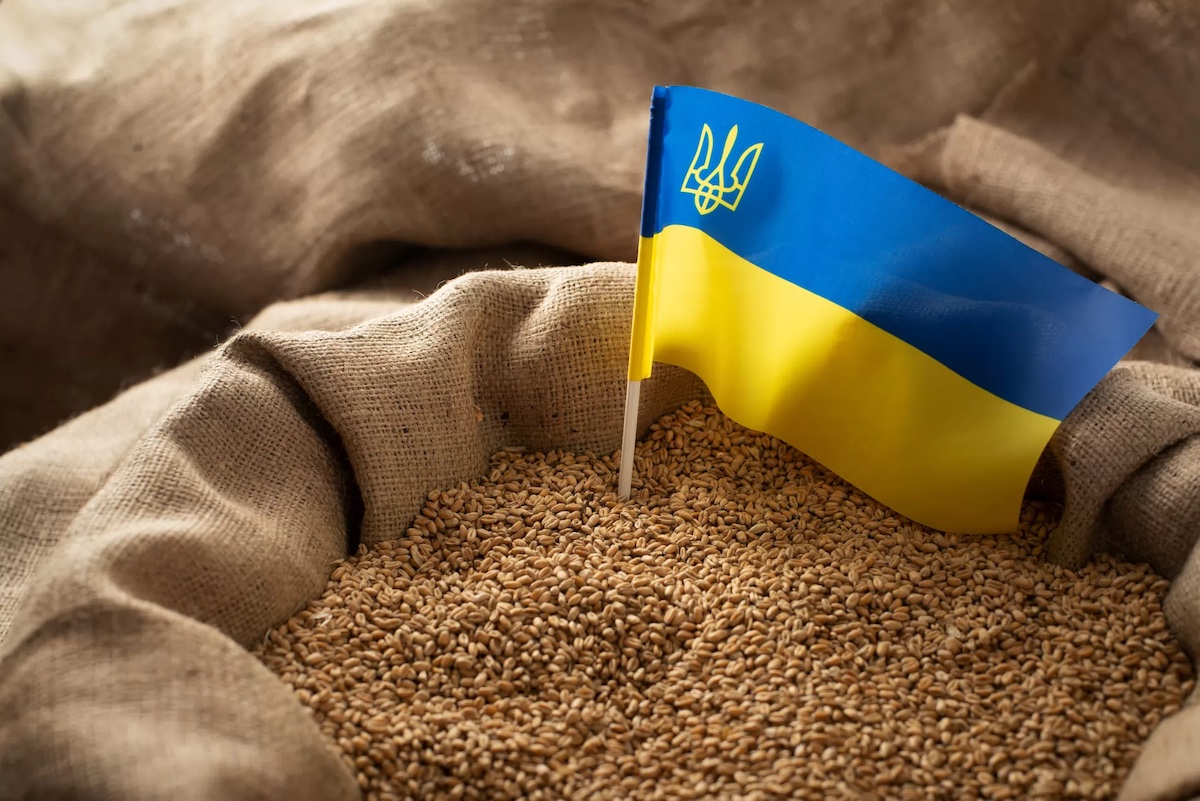 зерно Україна агроекспорт